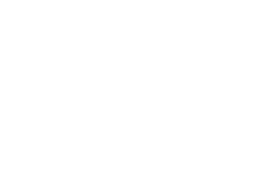 Brand overview Tagueri / Scalian